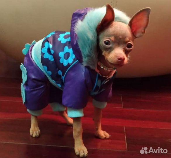 Комбез 17 см