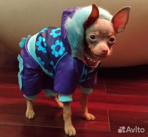 Комбез 17 см