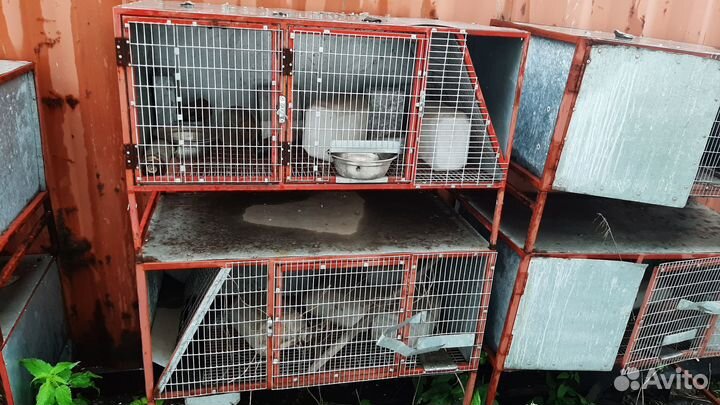 Клетка для кроликов,для звероводства