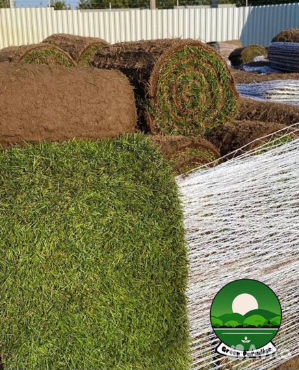 Рулонный газон