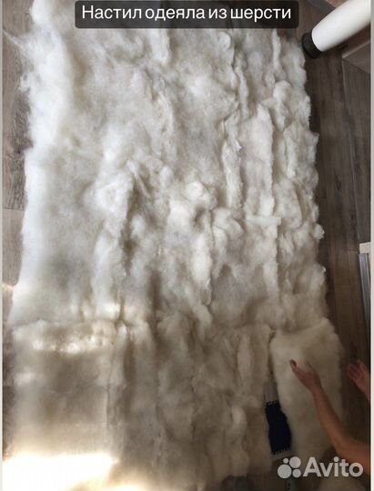 Шерсть овечья