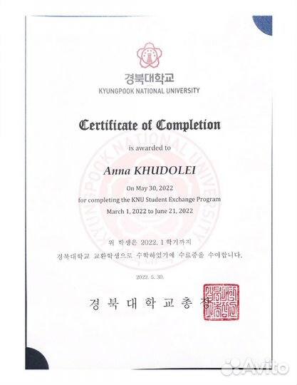 Репетитор по английскому/японскому языку