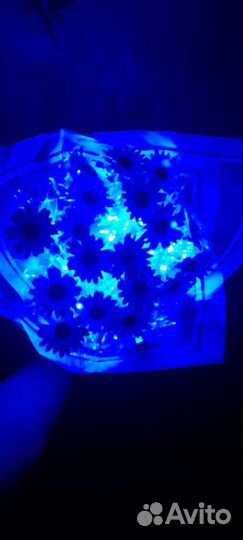 Букет из ромашек