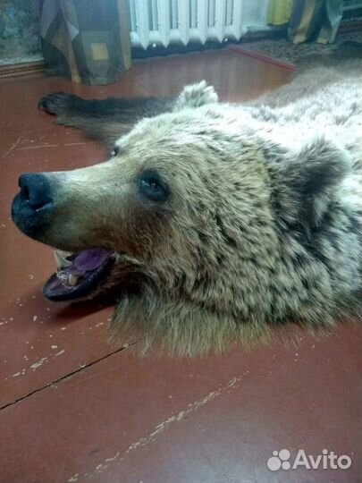 Имитация шкуры медведя