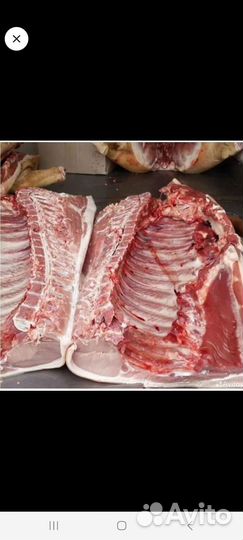 Мясо свинина