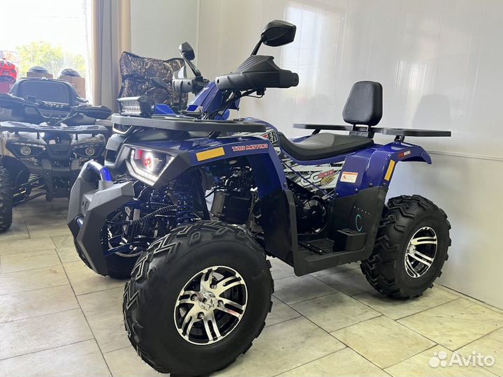 Avantis Hunter 200 New Premium 2023 (баланс-вал)