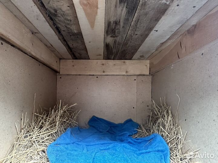 Будка для собаки