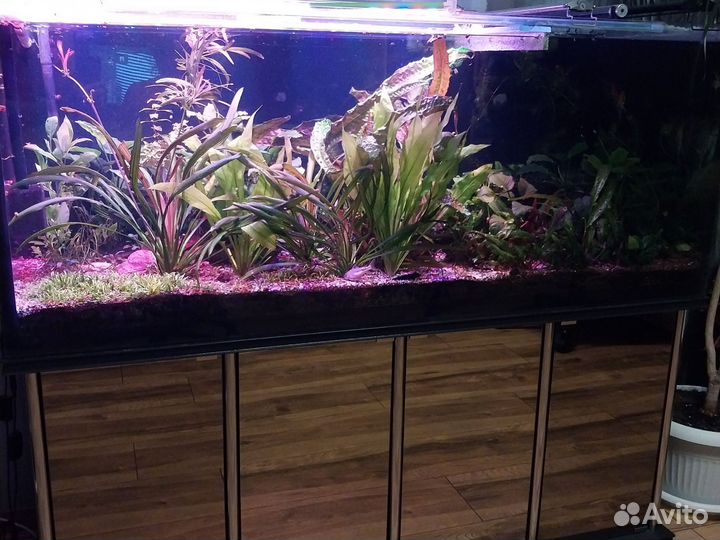 Аквариум с тумбой, 450 литров