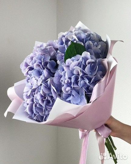Букет Гортензии