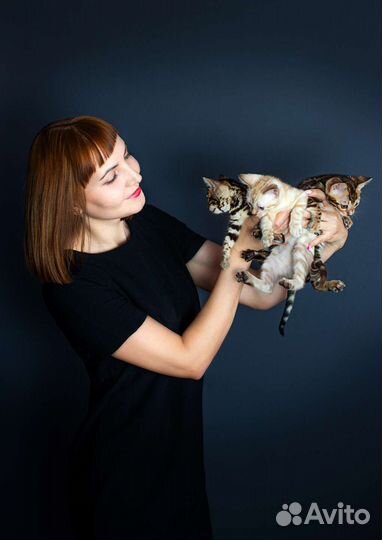 Зооняня, присмотр за котиками