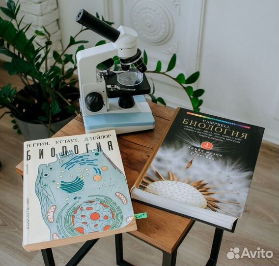 Репетитор по биологии онлайн. ЕГЭ/ОГЭ