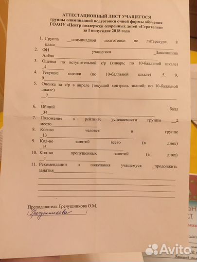 Пишу сочинения по русскому и литературе 1-11