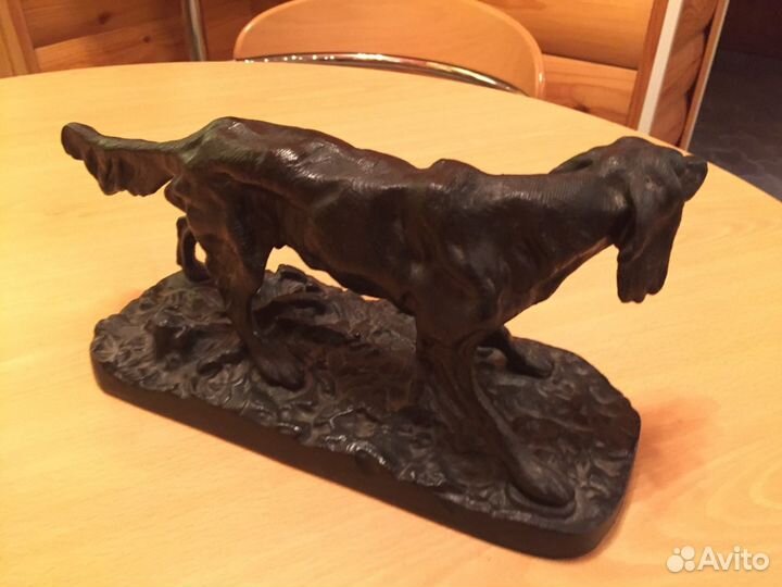 Сеттер куса