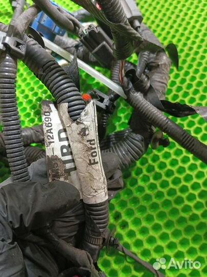 Проводка моторного отсека Ford Focus