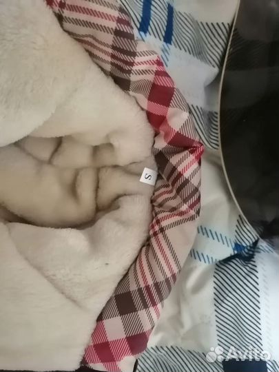 Одежда для собак мелких пород (носил мини йорк)