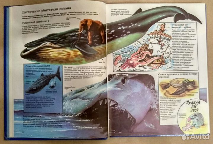 Детская энциклопедия