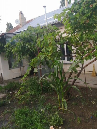 Дом 46 м² на участке 3 сот.