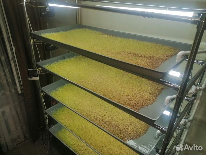 Стеллаж для микрозелени