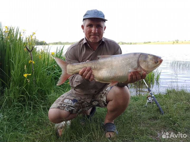 Технопланктон