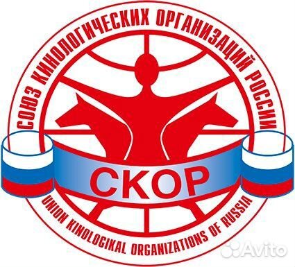Кинологический клуб. Оформление документов