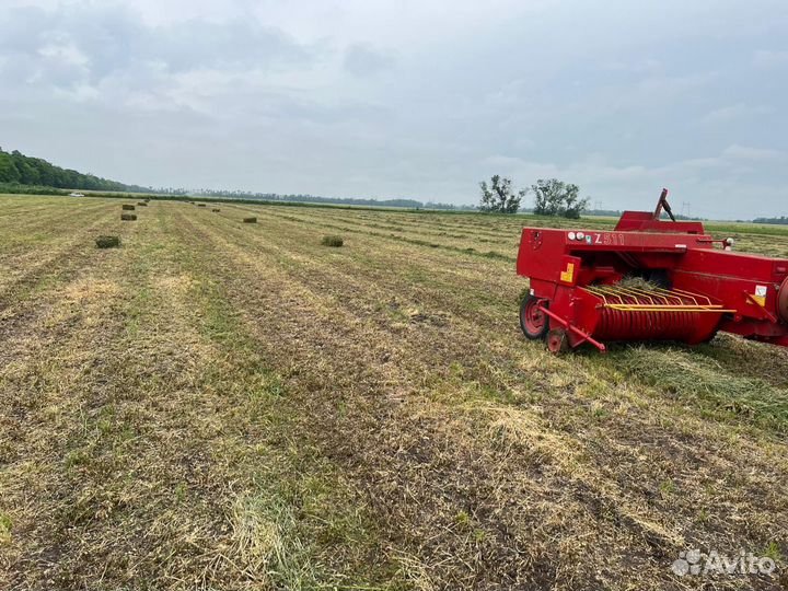 Сено люцерны в тюках