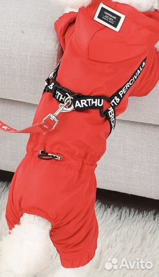 Одежда для маленьких собак