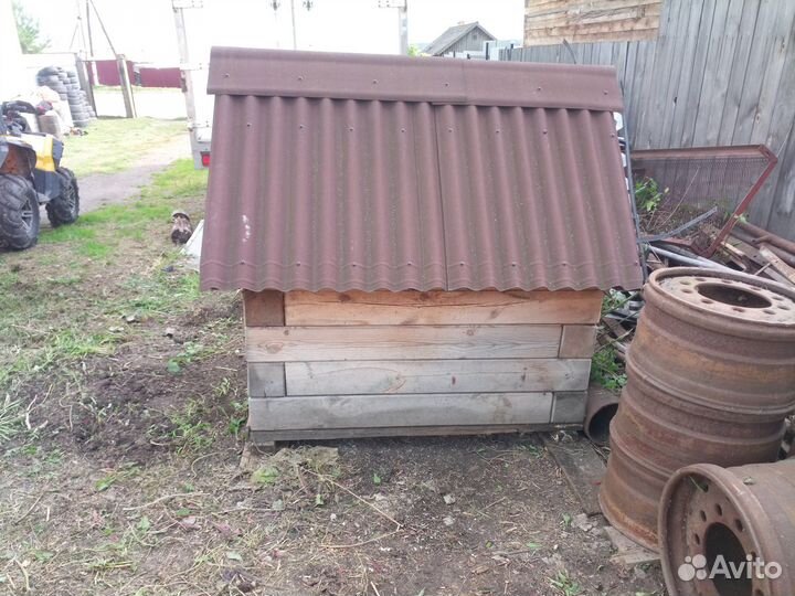 Собачья будка