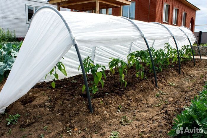 Парник садовый 5м 6 дуг