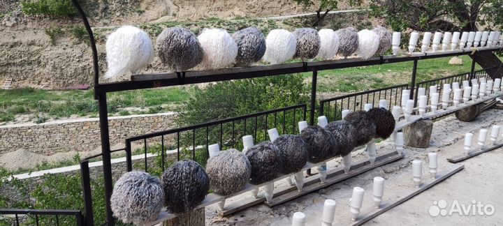 Гид экскурсовод по Дагестану, Избербаш