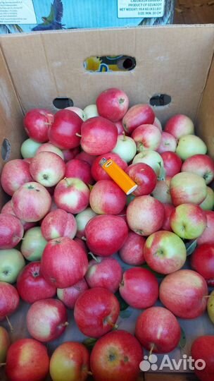 Яблоки оптом