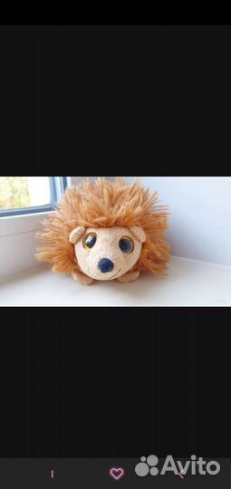 Авокадо, Ежики, Медведь из 