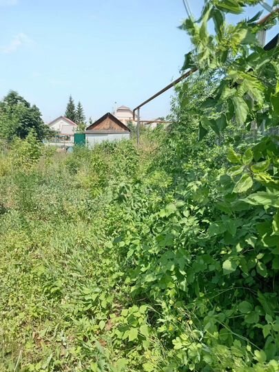 Участок 5 сот. (ИЖС)