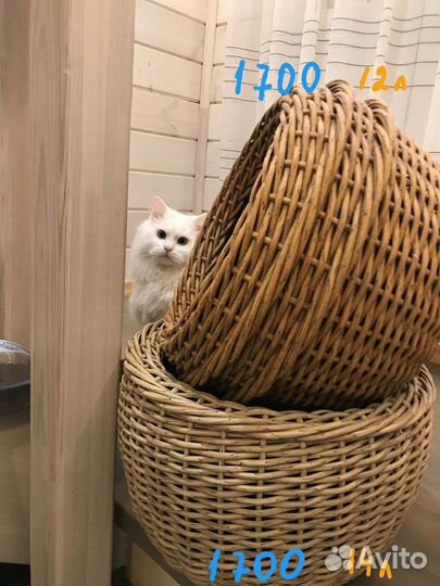 Кашпо из ротанга