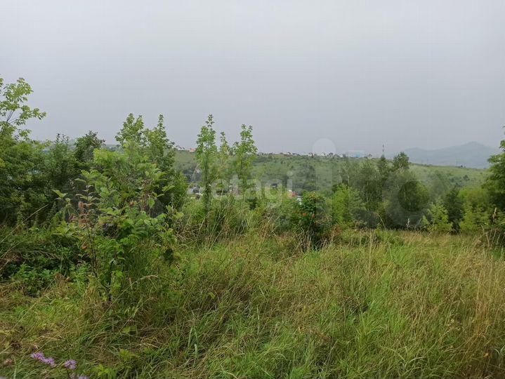 Участок 4 сот. (СНТ, ДНП)