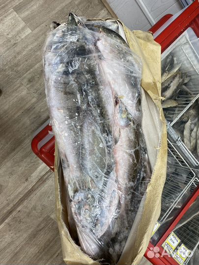 Горбуша 2023г с доставкой