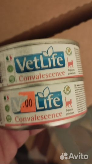 Корм для кошек