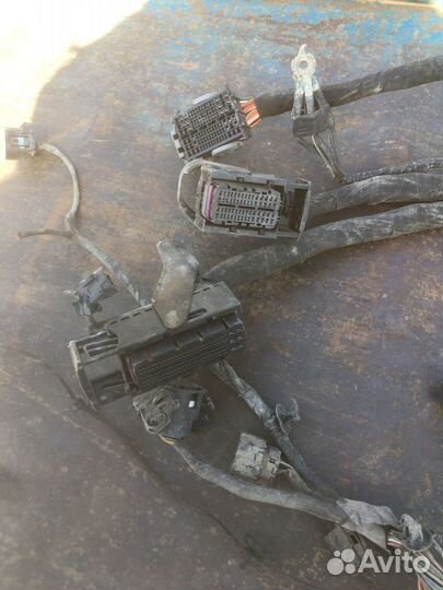 Проводка двигателя G4KE 2.4л. Кия Соренто 2 XM