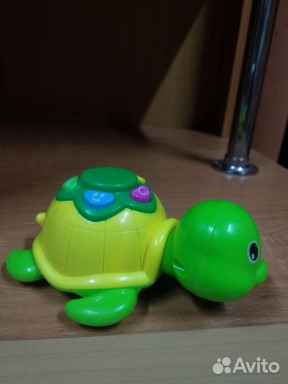 Интерактивная Черепаха