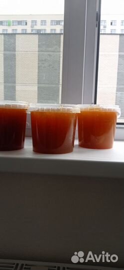 Мед Алтайский