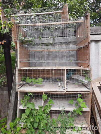 Клетки для перепелов бу