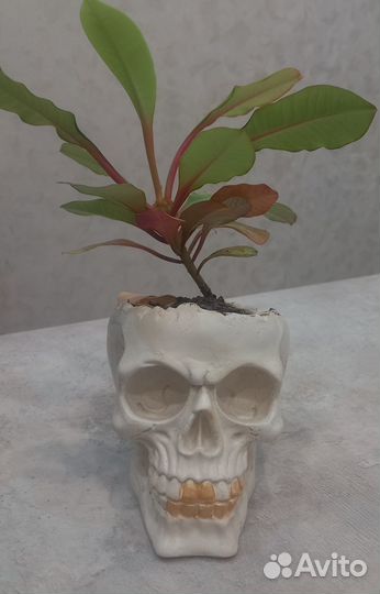 Кашпо, Белый, 10,5 см х 11 см х 14 см