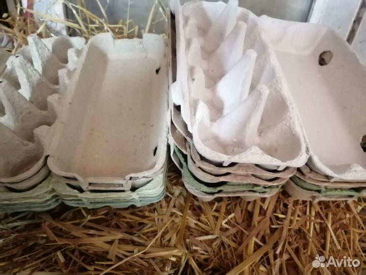 Ячейки для яиц