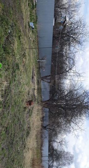 Дом 82 м² на участке 12 сот.