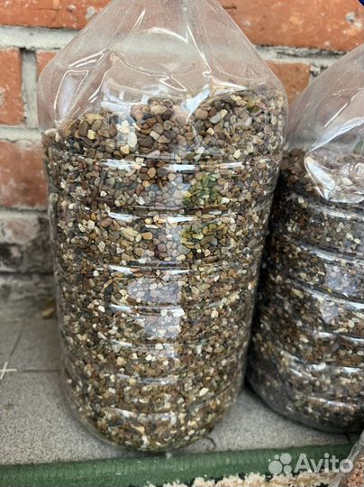 Грунт, мальки моллинезии, декор в аквариум