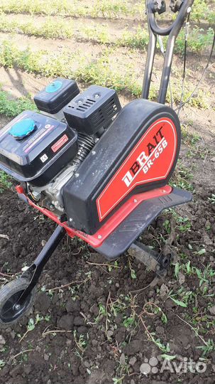 Мотоблоки и культиваторы бу