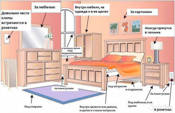 Дезинфекция