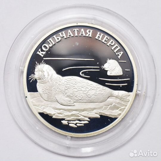 1 рубль 2007 года. Кольчатая нерпа. Серебро 925