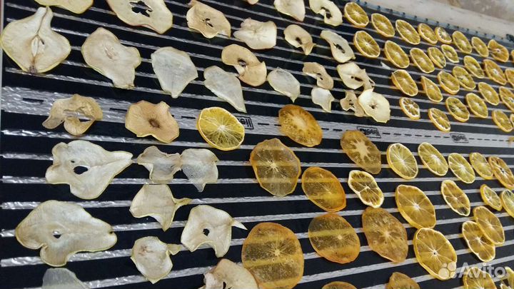 Сушка для пастилы и фруктов