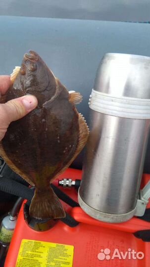 Снасти на камбалу для морской рыбалки. с 6 утра