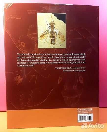 Эволюция насекомых / Evolution of the Insects